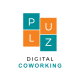 Logo de P LUZ DIGITAL
