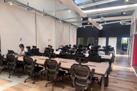 Working&Co Soler