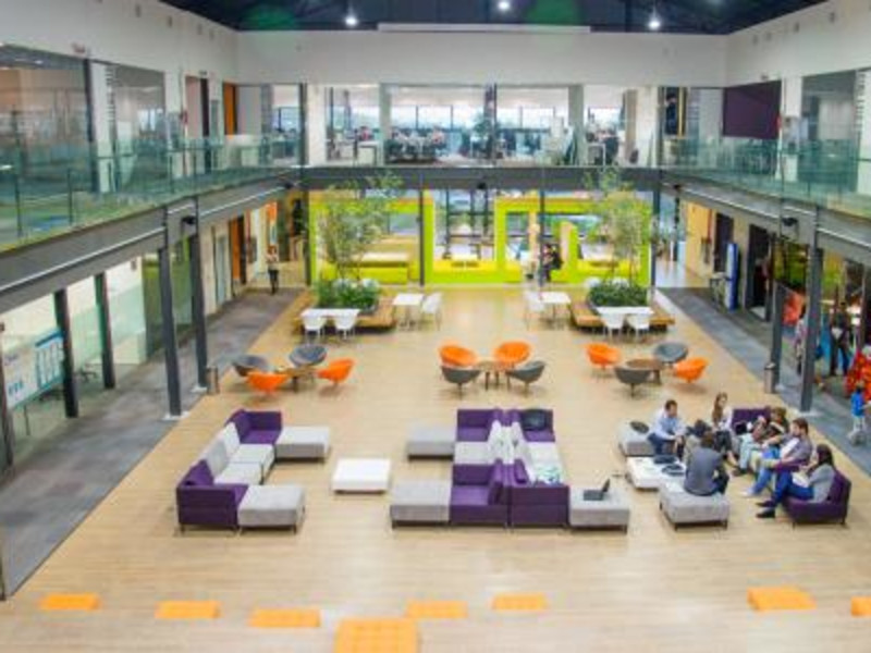 CIA Primavera ACATE Saco Grande Florianópolis/SC